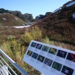 The Living Roof