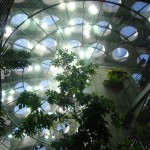 Rainforest Dome