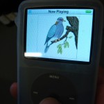 Ipods in the field