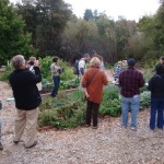 Woodward School Garden